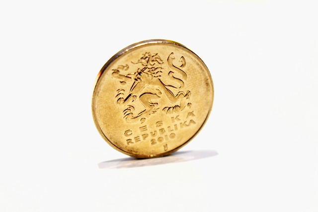 mince čr z roku 2010.jpg